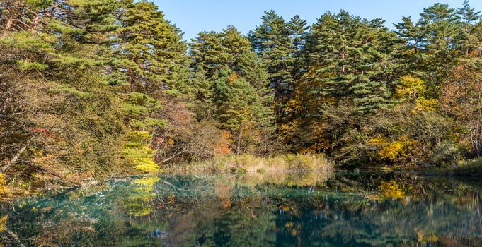 Panorama Goshiki-numa Five Colour Pond in Autumn, Urabandai, Fukushima, Japan