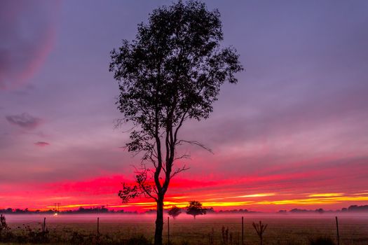 Red dawn skies and light fog across rural paddocks with foreground gum tree silhouetted 