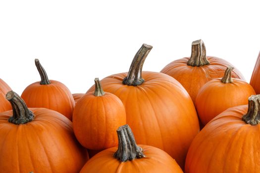 Heap of many orange pumpkins isolated on white background, copy space for text, Halloween celebration concept