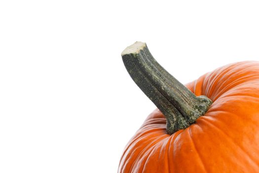 One orange pumpkin isolated on white background, Halloween concept