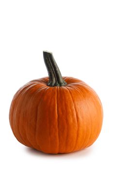 One orange pumpkin isolated on white background, Halloween concept