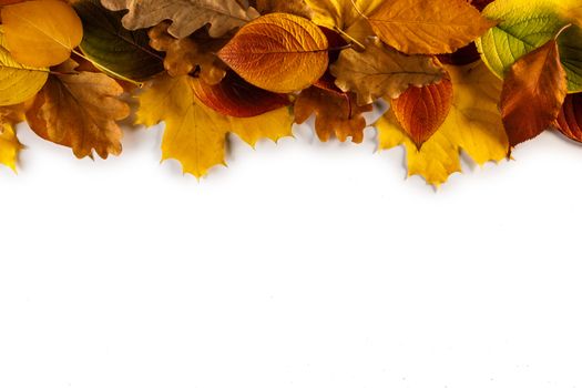 Colorful autumn leaves frame isolated on white background copy space for text