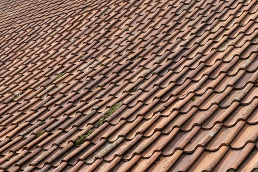 Red orange ceramic tiles on a large roof of an old Dutch farm
