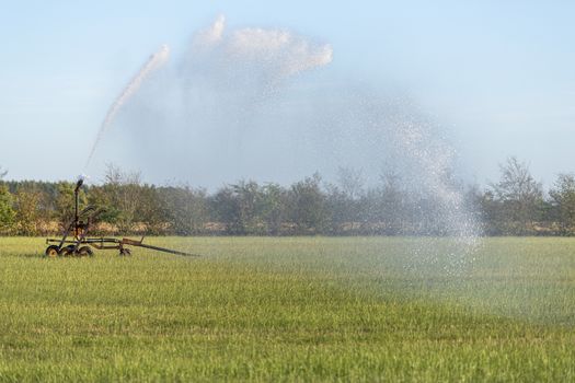 Water Sprinkler in a large dry pasture in the summer in Netherlands
