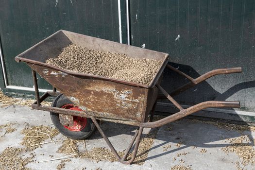 Old rusty wheelbarrow with chunks feed on a dairy farm in the Netherlands
