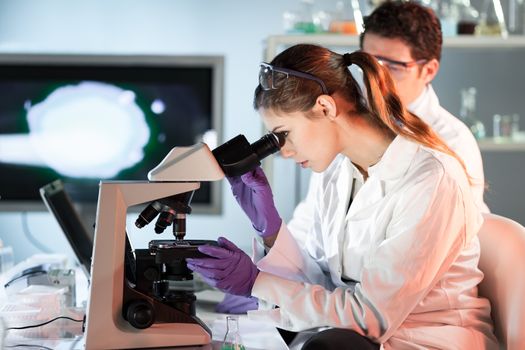 Life scientists researching in laboratory. Attractive female young scientist and her doctoral supervisor microscoping in their working environment. Healthcare and biotechnology.