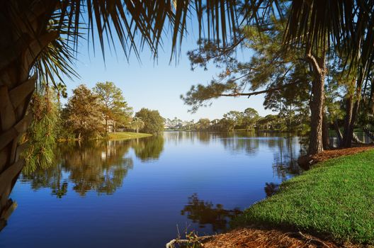 Small lake in Florida, USA