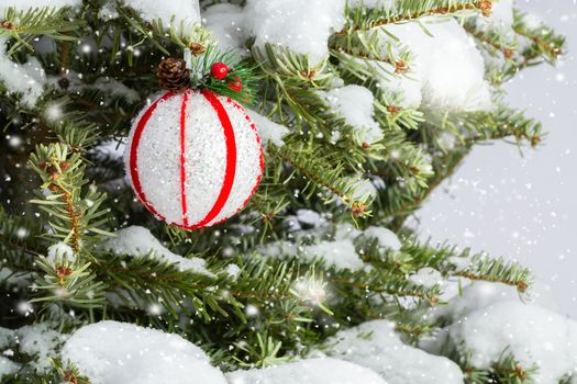 Red and white ball on a snowy Christmas tree.