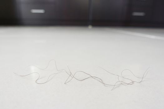 pubic hair fall on bedroom floor