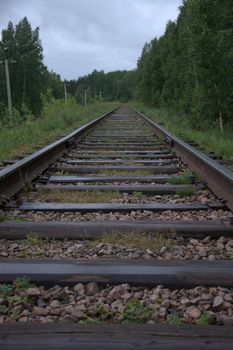 Smooth and old railway line running through the summer forest.