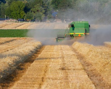 long day in the field getting crops ready