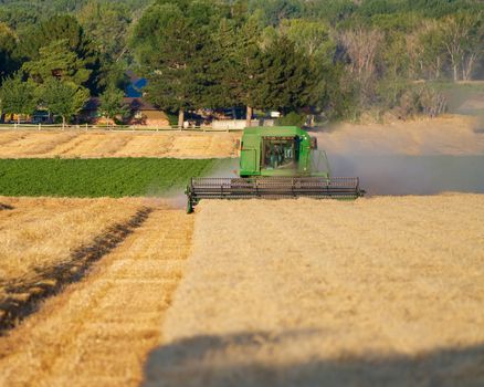 its time to harvest the crop