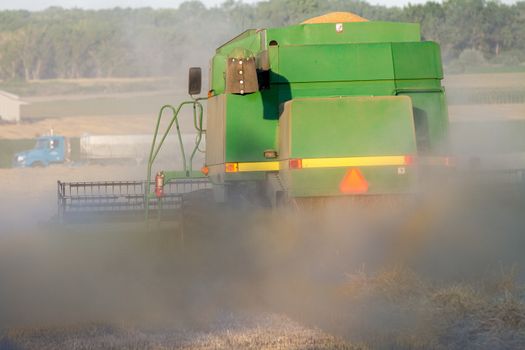 lots of dust in the field