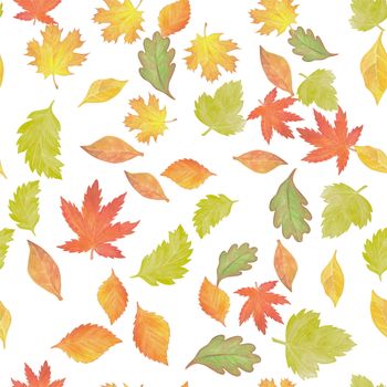 Seamless pattern with different autumn leaves, hand-drawn watercolor painting