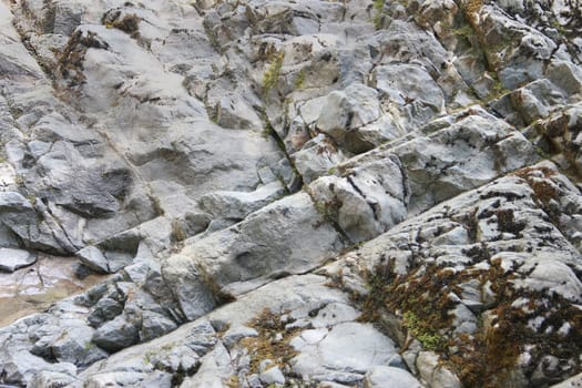 photo of nature background with rock covered with moss at summer