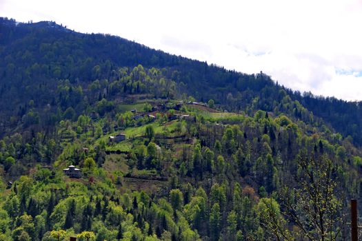 Photo of Village in the mountains of Georgia, Adjara, spring