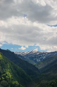 mountains with green forest and snow-capped mountain peaks in the distance, Georgia, Adjara, spring