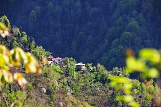 Photo of Village in the mountains of Georgia, Adjara, spring