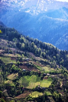 Photo of Village in the mountains of Georgia, Adjara, spring