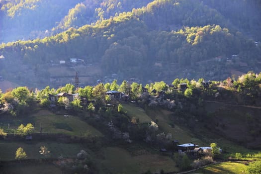 Photo of Village in the mountains of Georgia, Adjara, spring