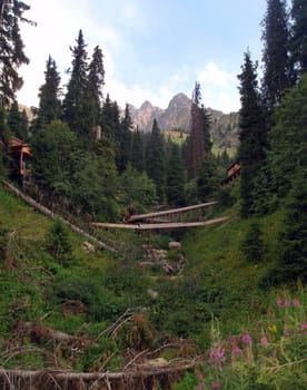 Mountain canyon in summer near the Chimbulak ski resort, Almaty, Kazakhstan