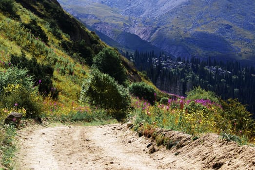 road in the middle of the mountains, summer, Almaty, Kazakhstan