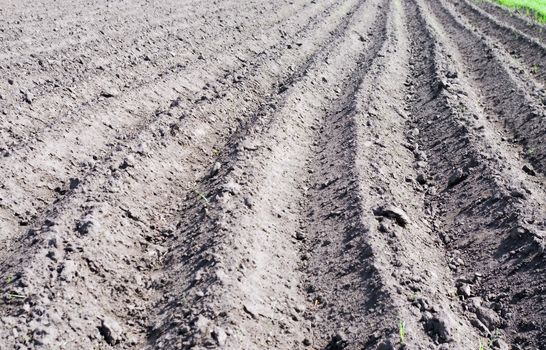 plowed land prepared for planting seeds