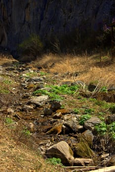 A small mountain handle flows down a rocky gorge. Altai, Siberia, Russia.