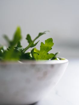 Arugula in craft ceramic boul. Arugula salad close up. Shallow DOF. Copy space for text. Fresh green arugula leaves in bowl on table. Vertical.