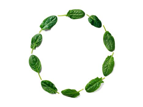 Pattern from baby spinach leaves in round circle frame isolated. Circle shape in fresh green spinach. Isolated on white with clipping path. Top view or flat lay. Can use for design vegan and keto diet