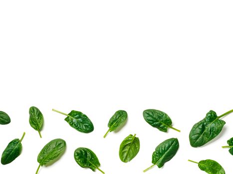 Pattern from baby spinach leaves frame isolated. Fresh green spinach isolated on white with clipping path. Top view or flat lay. Can use for design vegan and keto diet
