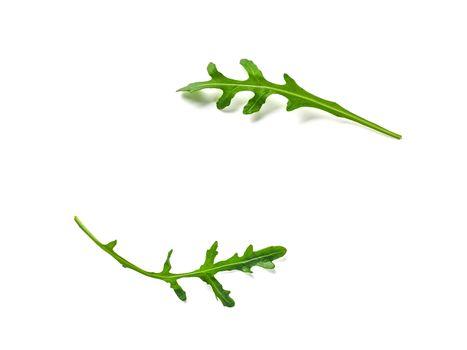 Creative layout made with arugula leaves. Two arugula or rucola leaves with copy space for design or text in center. Isolated on white with clipping path. Top view or flat lay.