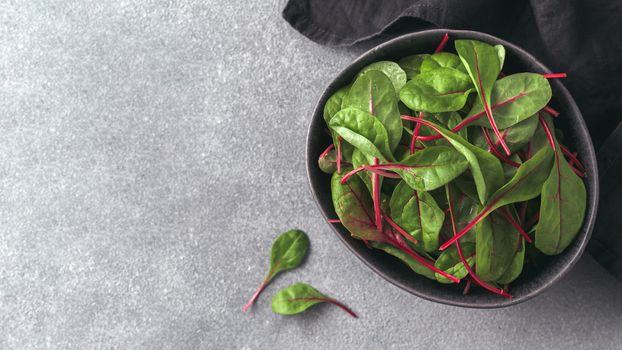 Fresh salad of green chard leaves or mangold on gray stone background. Flat lay or top view fresh baby beet leaves in craft ceramic bowl. Banner. Copy space for text or design.
