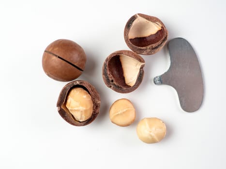 Set of macadamia nuts and nut cracker sheller on white background. Set of macadamia nuts - whole unshelled, with open shells, and shelled. Isolated on white. Copy space for text. Top view or flat lay