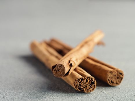 ceylon cinnamon sticks on gray stone background. True cinnamon sticks or ceylon cinnamon with copy space for text or design