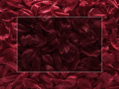 Background of red peony petals. Bright saturated red purple peony pattern background. Burgundy floral texture can use as wallpaper, card design