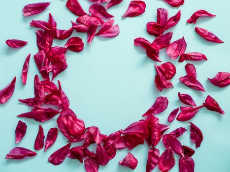 Red burgundy peony petals flat lay in round shape. Flower petals with copy space for text or design in center on blue background. Creative layout made of flowers leaves. Flat lay pattern.