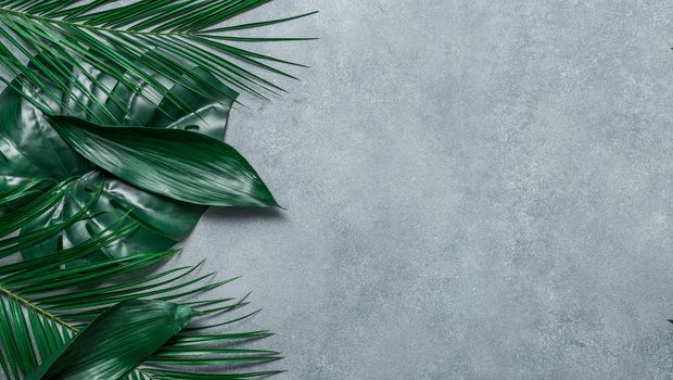 Palm leaves on gray stone background. Tropical leaves top view or flat lay. Copy space for text or design. Horizontal banner. Tropical palm leave, jungle leave floral pattern background