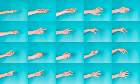 Set of female hands gesturing on blue studio background. Hello, have-five and other symbols of hands.