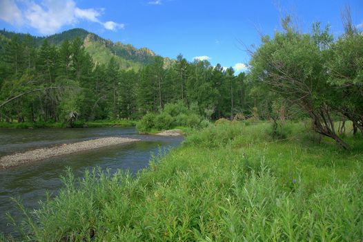 The calm flow of the river through the field and forest at the foot of the mountain peaks. Altai, Siberia, Russia.