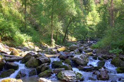 A small waterfall on a mountain river flowing through the forest. Altai, Siberia, Russia.