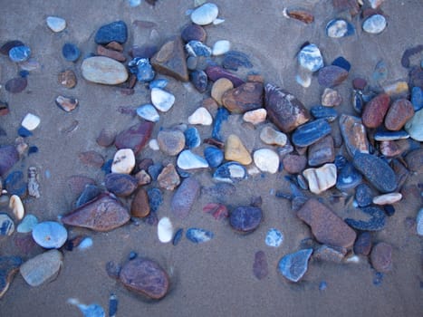 pebbles on the beach. colorful, various natural pebbles