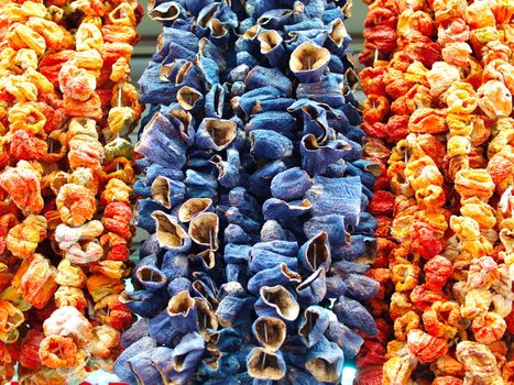 dried eggplant, pepper and bell pepper. dried to cook in winter