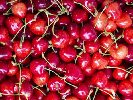 fresh organic cherries background. colored cherries top view. Red fresh bunch of cherries on the table. fresh red cherry heap