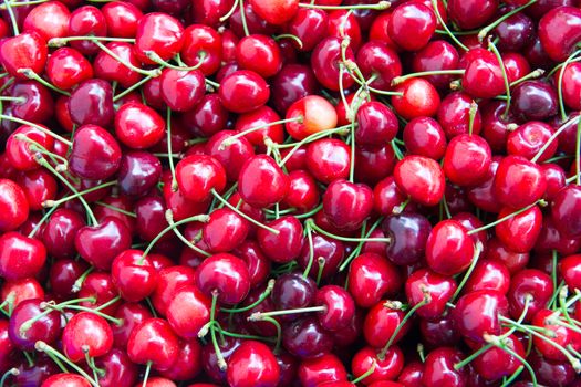 fresh organic cherries background. colored cherries top view. Red fresh bunch of cherries on the table. fresh red cherry heap