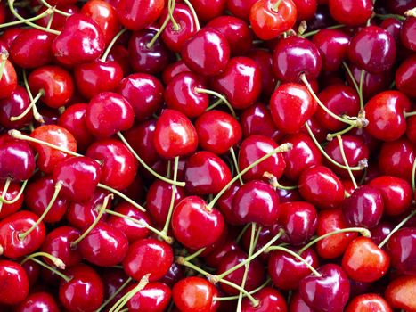 fresh organic cherries background. colored cherries top view. Red fresh bunch of cherries on the table. fresh red cherry heap