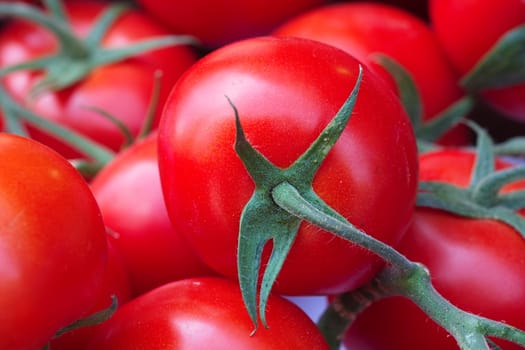 close-up tomato vegetable background. tomato love