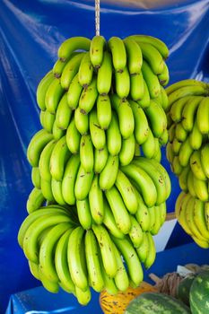 Turkish Anamur Bananas. Banana cob ready for sale