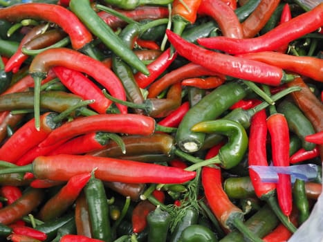 colorful fresh peppers. organic vegetable background