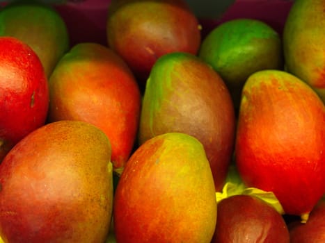 Pile of mango fruits. close-up mango background